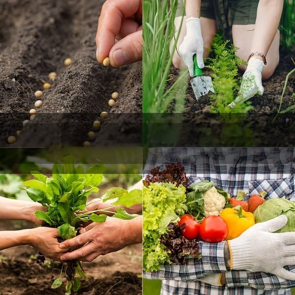 Seed Vault Kit™ — Cultiva tus propias verduras ecológicas en casa, sin pesticidas y deja de pagar precios abusivos en el supermercado